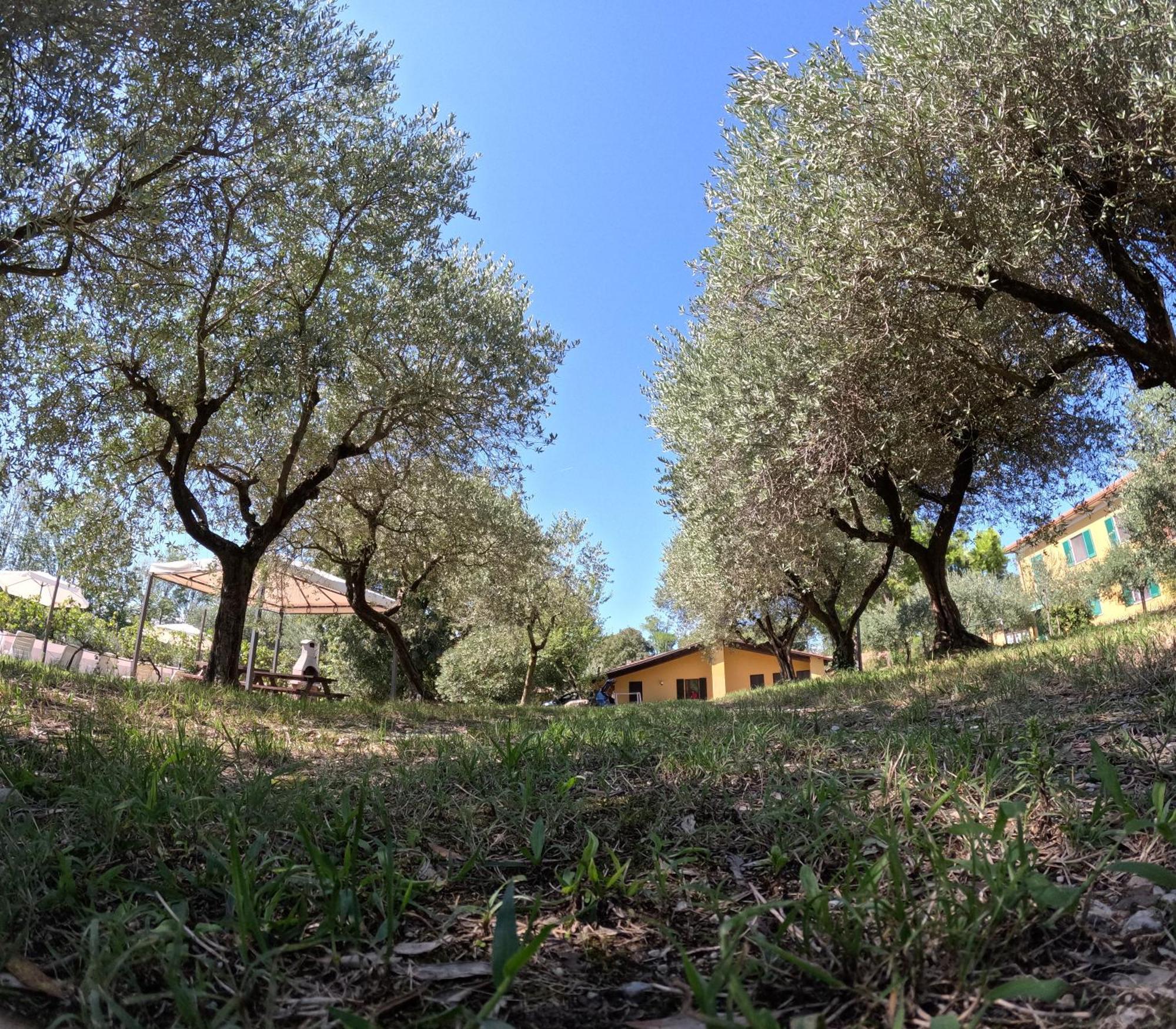 Agriturismo Gardenali โวลตา มันโตวานา ห้อง รูปภาพ
