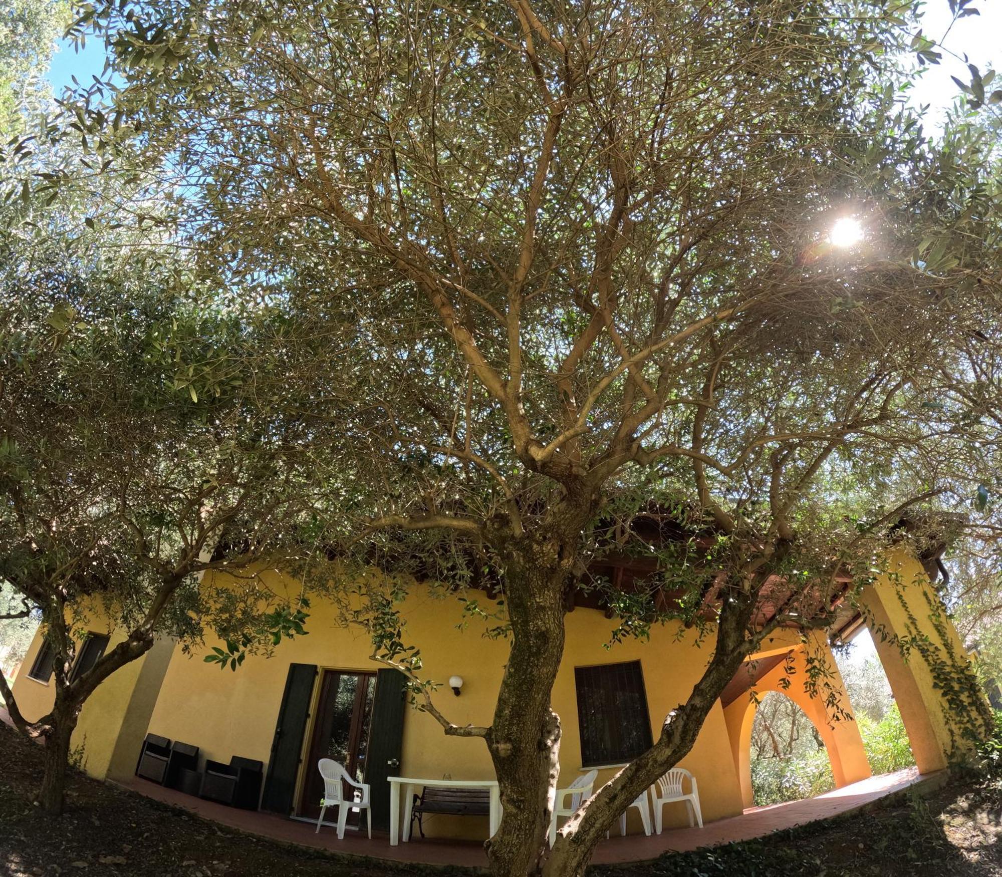 Agriturismo Gardenali โวลตา มันโตวานา ห้อง รูปภาพ